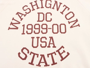 Dettaglio della stampa grafica Washington su felpa vintage beige in cotone felpato