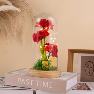Preserved red carnations in a glass dome with LED lights on a wooden base for gift