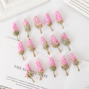 Pink succulent pine cones and fern leaves arranged on a magazine for Christmas decor