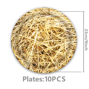 10er-Set Einweg-Pappteller 23cm mit realistischem Strohmuster-Design für Picknicks