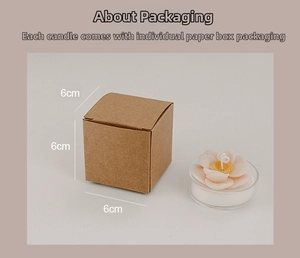 Macro view of succulent shaped scented candle with its 6cm square kraft paper box