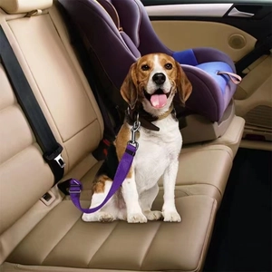 Cintura di sicurezza regolabile in nylon viola per cani sul sedile posteriore