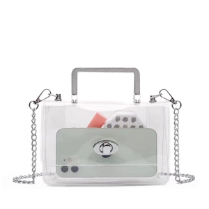 Detail view of clear PVC handbag with silver metal handle and chain strap on white background