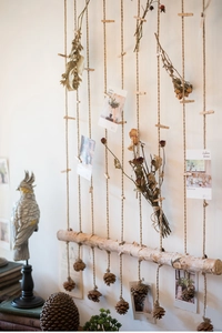 Detailed view of natural birch branch photo hanger with hemp ropes and pine cones