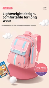 Lightweight 750g school backpack for kids with a cartoon dinosaur patch and pencil case