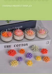 Succulent scented candles in colorful designs and mini glass jars for home decor