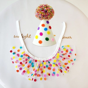 Close-up of colorful polka dot pet birthday hat and mesh bib set on a white plate