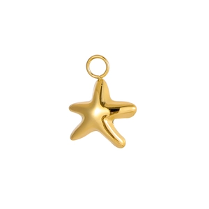 Detailed macro shot of a gold-plated starfish pendant with a polished metallic finish