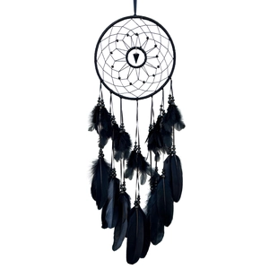 Classic black dreamcatcher with feathers and beads on white background, home decor gift