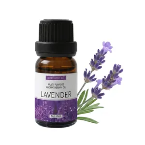 Natural Water Soluble Essential Oils Plant Extract Aromatherapy For Humidifier Diffuser Stress Relief Home Fragrance