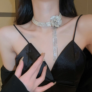 Primo piano del girocollo in argento con fiori scintillanti e nappe indossato dal modello