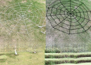 5m giant spider web outdoor Halloween decor in black and white rope material without spiders