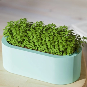 Detalle macro del molde de silicona para caja ovalada verde menta con textura mate suave