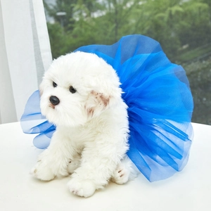 Detail view of a bright blue pet tutu skirt made of polyester mesh on a small dog model
