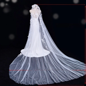 3D floral appliqués and pearl details on 3 meter wide cathedral bridal wedding veil