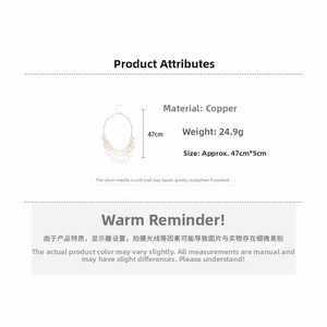 Detailed specifications of the lace fringe necklace showing dimensions 47cm by 5cm
