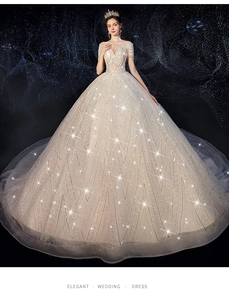 Detailed view of champagne lace wedding dress with sparkling sequins and sheer sleeves