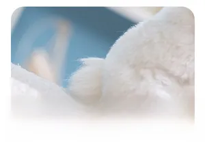Close-up of soft white plush fabric texture and quality stitching on the rabbit toy