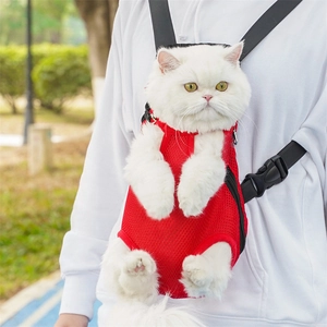 Red breathable mesh pet carrier backpack for small cats and dogs on model in park