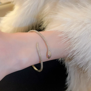 Detail van de slangenarmband met diamant-inleg en rode edelsteen als ogen detail