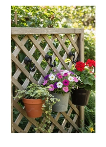 Close-up of black S-shaped iron wall hook holding various heavy garden plant pots