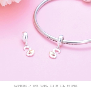 Detailed close-up of 925 sterling silver S-letter charms and bracelet with golden heart