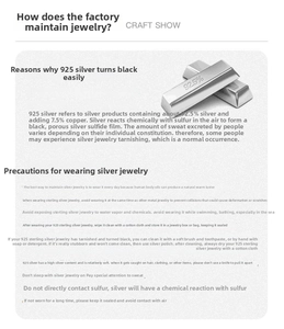 Detailed care guide for S925 sterling silver jewelry with 3D silver bar illustration