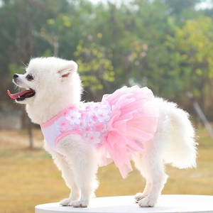 Close-up of pink cherry blossom pet dress on Pomeranian with multi-layered tulle skirt