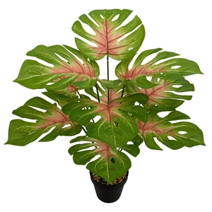Close-up of artificial Monstera plant with pink and green gradient leaves in black pot