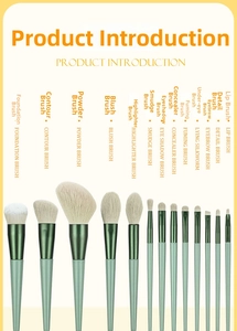 Detailed set of 13 makeup brushes with green handles and white bristles for professional use