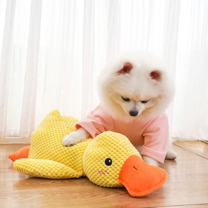 Peluche a forma di papera gialla con trama in velluto e cane Pomerania su pavimento in legno