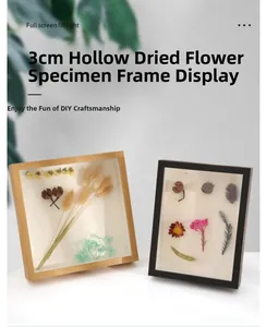 Detailed view of wooden specimen shadow box showing its 3cm hollow interior depth