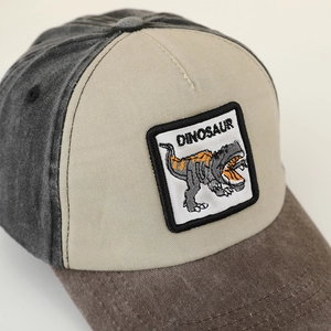 Kids vintage washed baseball cap with dinosaur patch and tri-color block design
