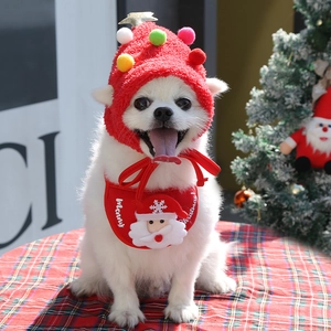 Detail of red plush Christmas pet hat and Santa Claus bib on a white Pomeranian