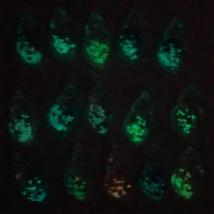 Luminous seashell charms for DIY keychains glowing in bright neon green light