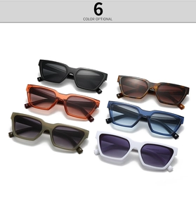 Detailed collection of retro square cat-eye sunglasses in six stylish frame colors