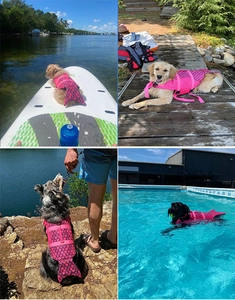 Pink mermaid style dog life jacket with dorsal handle and fin for aquatic safety