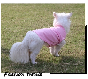 Close-up of a pink cotton dog t-shirt on a small white dog in a sunny outdoor grass setting