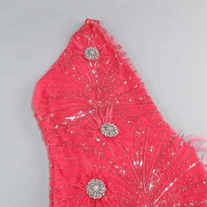 Detail of fuchsia mesh evening gown with silver sequins, diamond flowers and feathers