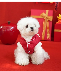 Close-up of red Chinese style dog vest with white buttons in a festive setting
