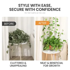 Plant climbing wall fixers for indoor vines showing before and after installation results
