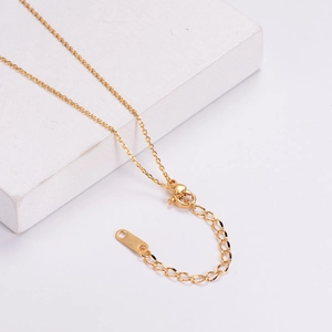 Macro shot of gold lobster clasp and adjustable extension chain on the titanium steel necklace