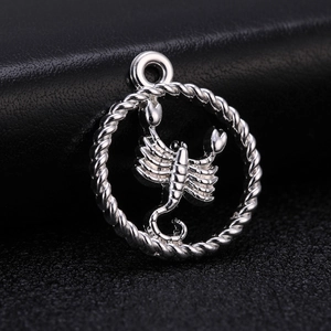 Macro shot of silver zodiac Scorpio charm with a twisted rope border for DIY jewelry