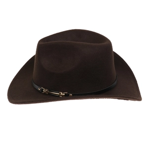 Detailed close-up of the dark brown felt cowboy hat with a black leather band and gold buckle