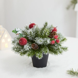 Mini Christmas pine tree bonsai with red berries and cones in a black pot for table decor