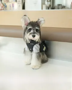 Détail du gilet noir pour animaux montrant la doublure thermique pour rester au chaud