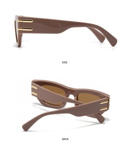 Détail de lunettes de soleil œil-de-chat marron avec accents flèches dorées sur les branches