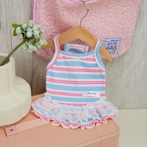 Close-up of pink and blue striped knit pet dress with delicate white lace trim detail
