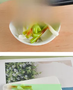 Detailed macro view of realistic artificial green onion keychain with color gradient