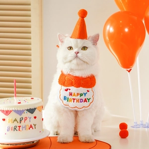 Detail of a white cat wearing a birthday party hat and embroidered bib with decor